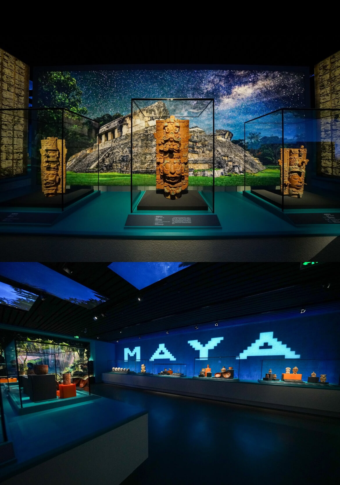 Special Exhibition